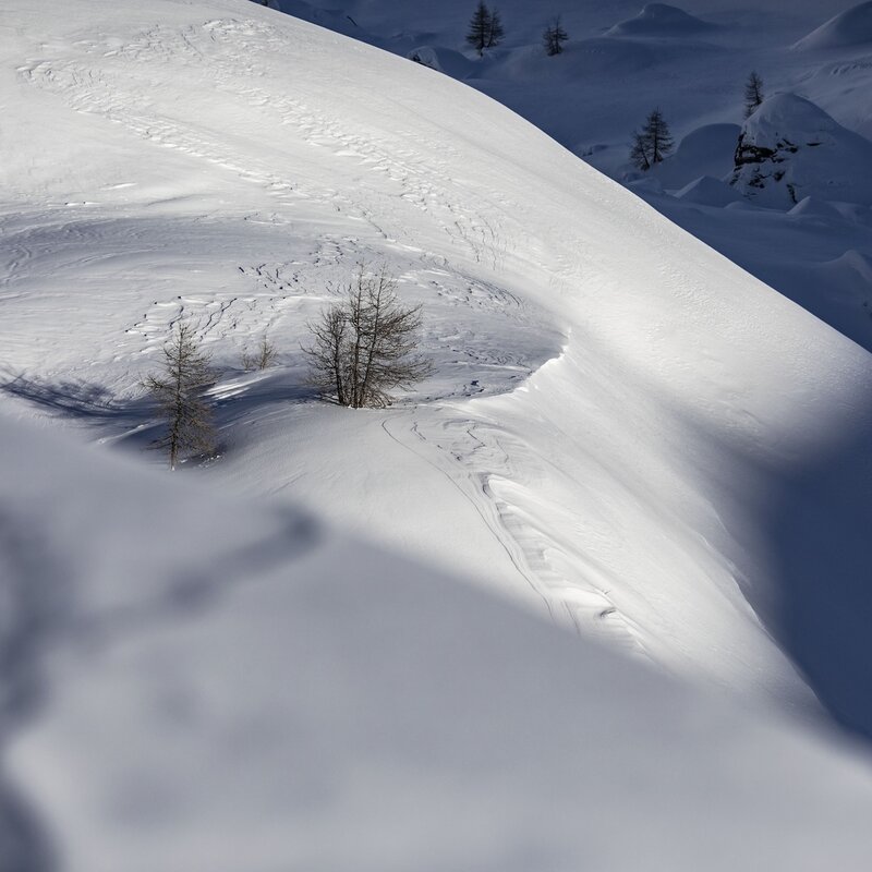 Inverno San Domenico Freeride 2